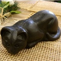 Hunting Black Cat