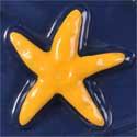 Starfish Motif