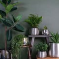 From The Anvil Homeware