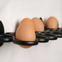Wall Mounted Egg Rack