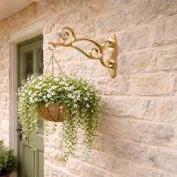 Brass Scroll Hanging Basket Bracket