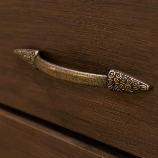 Antique Brass Gothic Nautilus Edged Iron Pull Handle