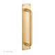 Pull Handle on Plate