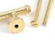 Polished Brass Regency Pull Handle