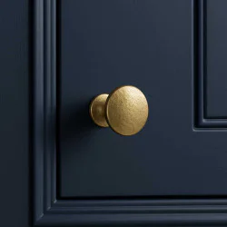 F7873 Brushed Brass Cabinet Knob