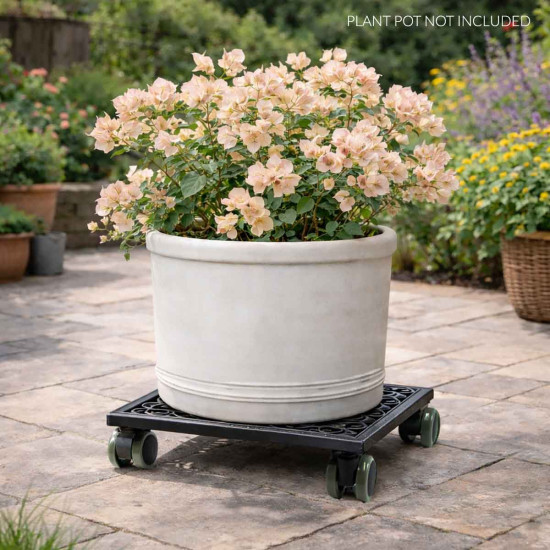 Square Cast Iron Plant Stand/Trolley