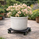 Square Cast Iron Plant Stand/Trolley