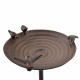 Bird Bath