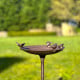 Bird Bath