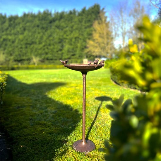 Bird Bath