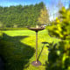 Bird Bath