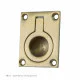 Flush Ring Handle