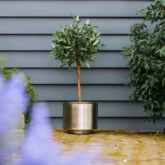 Satin Marine SS (316) 28cm Newlyn Pot (Drainage holes)