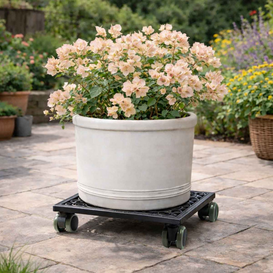 Square Cast Iron Plant Stand/Trolley