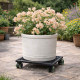 Square Cast Iron Plant Stand/Trolley