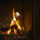 Toasting Fork