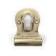 Aged Brass Euro Door Pull