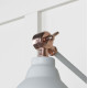 Smooth Copper Brindley Wall Light in Birch