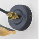 Smooth Brass Flora Wall Light in Slate