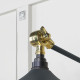 Smooth Brass Flora Wall Light in Soot