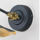 Smooth Brass Flora Wall Light in Soot