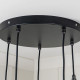 Smooth Brass Flora Cluster Pendant Light  in Elan Black