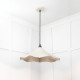 Smooth Nickel Flora Pendant Light  in Teasel