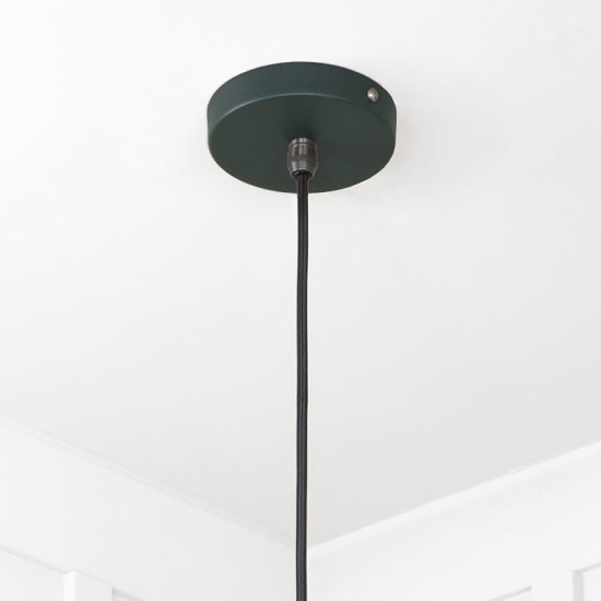 Smooth Brass Flora Pendant Light  in Dingle