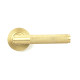 Satin Brass Brompton Lever on Rose Set (Beehive)