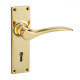 Codsall Lever Door Handle