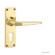 Brockton Lever Door Handle
