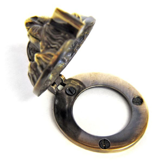 Lion Head Lock Cover