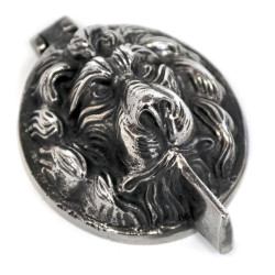 Lion Head Lock Cover