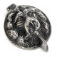 Lion Head Lock Cover
