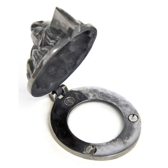 Lion Head Lock Cover
