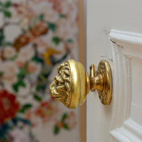 Lions Head Door Knob