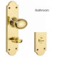 Oval Door Knob on Shaped Backplate