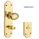 Oval Door Knob on Shaped Backplate