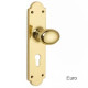 Oval Door Knob on Shaped Backplate