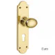 Oval Door Knob on Shaped Backplate