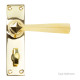 Polished Brass Straight Lever Door Handle