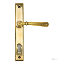 Newbury Slimline Sprung Lever Espagnolette - Aged Brass