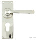 Avon Door Handle - Polished Nickel