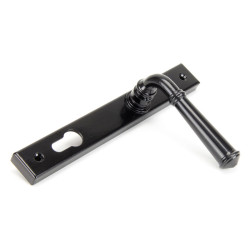 Traditional Blacksmith Regency Slimline Sprung Lever Lock Set