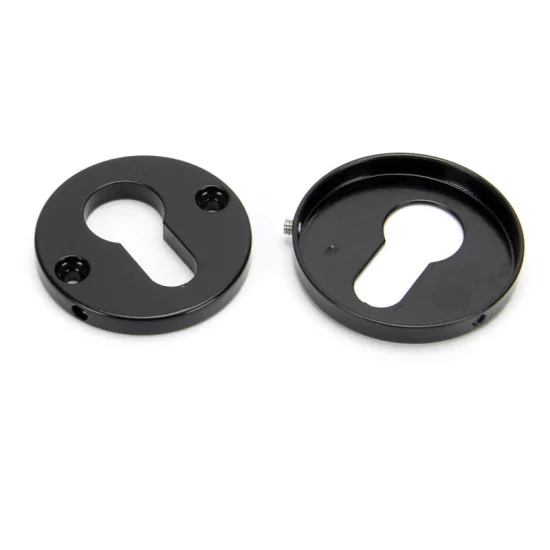Traditional Blacksmith Regency Concealed Euro Escutcheon