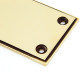 Period Art Deco Finger Plate - Aged Brass