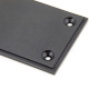 Period Art Deco Finger Plate - Aged Bronze
