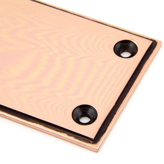 Period Art Deco Finger Plate - Polished Bronze