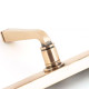 Avon Slimline Sprung Lever Espagnolette - Polished Bronze