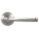 Avon Sprung Lever Door Handle on Round Rose Set - Satin Marine Stainless Steel
